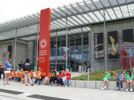California Academy of Sciences in San Francisco