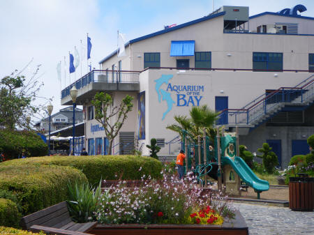 Aquarium of the Bay in San Francisco California