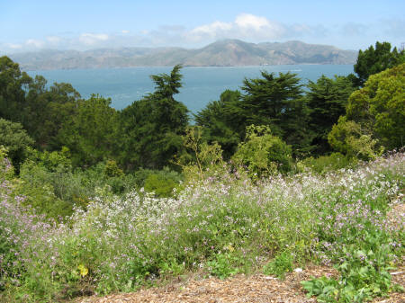 Lincoln Park in San Francisco California USA